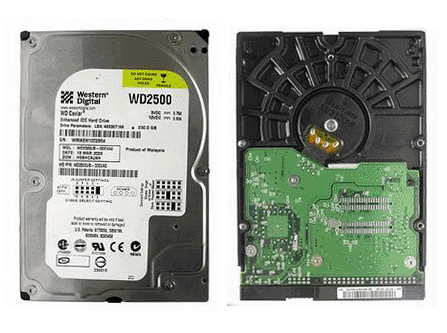 western digital